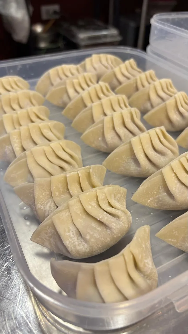 Gyozas crudas recién plegadas a mano, ordenadas en un recipiente de la cocina
